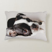 エジソンボストンテリアの子犬 アクセントクッション (裏面)