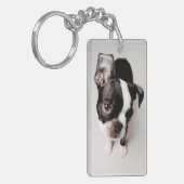 エジソンボストンテリアの子犬 キーホルダー (正面左)