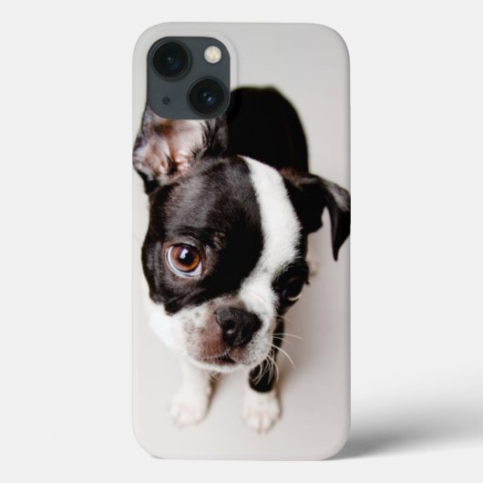 エジソンボストンテリアの子犬 Case-Mate iPhoneケース (裏面)