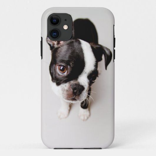 エジソン·ボストン·テリアー·パピー。 Case-Mate iPhoneケース (裏面)