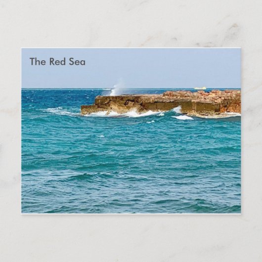 エジプトからの紅海のエジプトの見解 ポストカード (正面)