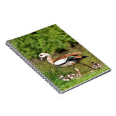 エジプトのガチョウおよびひよこ ノートブック (右側)