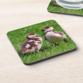 エジプトのガチョウ二羽 コースター (左側)