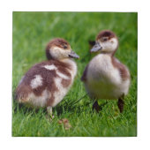 エジプトのガチョウ二羽 タイル (正面)