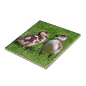 エジプトのガチョウ二羽 タイル (側面)