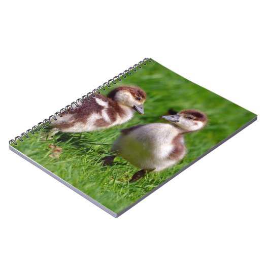 エジプトのガチョウ二羽 ノートブック (左側)