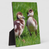 エジプトのガチョウ二羽 フォトプラーク (側面)