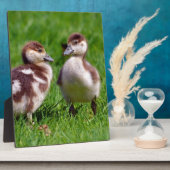 エジプトのガチョウ二羽 フォトプラーク (側面)
