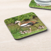 エジプトのガチョウ コースター (左側)