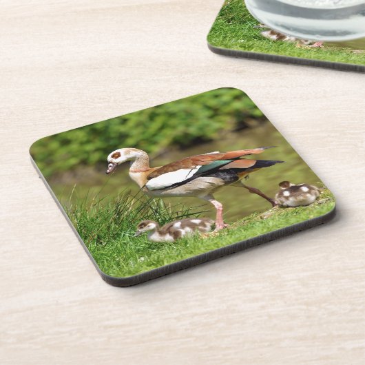 エジプトのガチョウ コースター (左側)