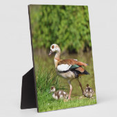 エジプトのガチョウ フォトプラーク (側面)