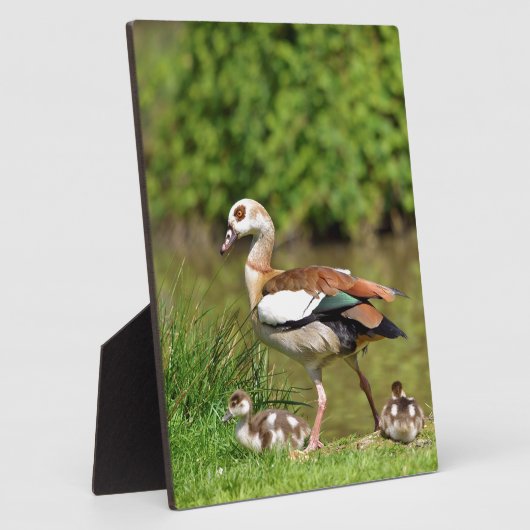 エジプトのガチョウ フォトプラーク (側面)