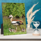 エジプトのガチョウ フォトプラーク (側面)