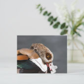 エジプトのガチョウ ポストカード (スタンド正面)