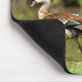 エジプトのガチョウ マウスパッド (コーナー)