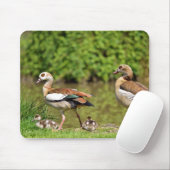エジプトのガチョウ マウスパッド (マウス)