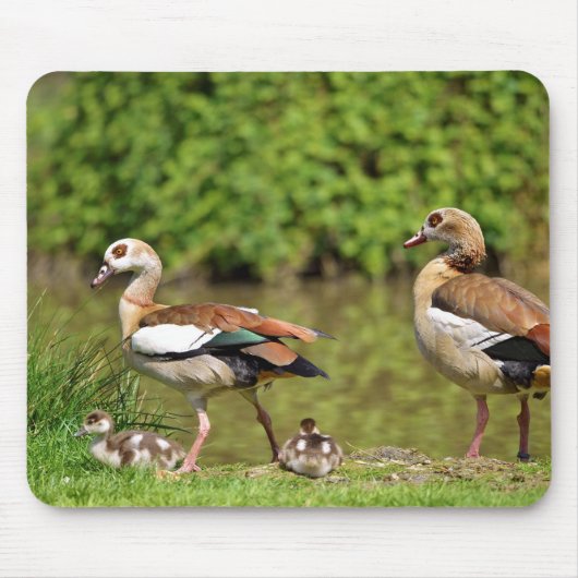 エジプトのガチョウ マウスパッド (正面)