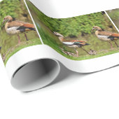 エジプトのガチョウ ラッピングペーパー (ロールコーナー)