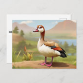エジプトのガチョウ（水） ポストカード (正面/裏面)