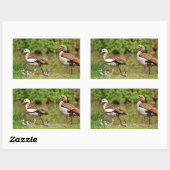 エジプトのガチョウ 長方形シール (シート)