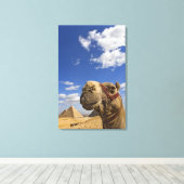 エジプトのギザのピラミッドの前でラクダ キャンバスプリント (インサイチュ (ウッドフロア))