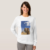 エジプトのギザのピラミッドの前でラクダ Tシャツ (正面フル)