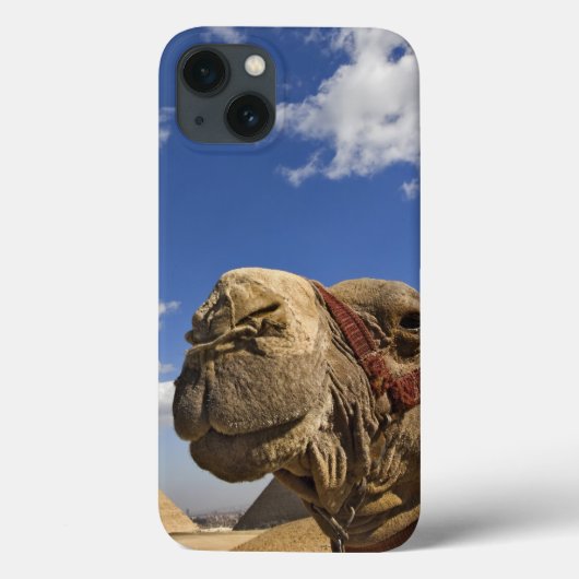 エジプトのギザのピラミッドの前のラクダ Case-Mate iPhoneケース (裏面)