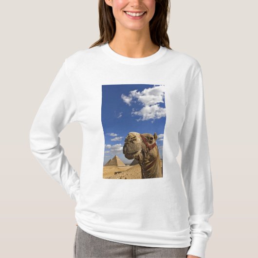 エジプトのギザのピラミッドの前のラクダ Tシャツ (正面)