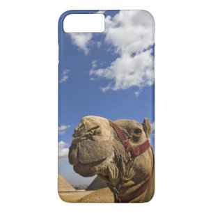 エジプトのギザのピラミッド前のラクダ iPhone 8 PLUS/7 PLUSケース