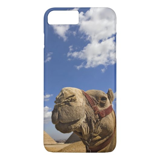 エジプトのギザのピラミッド前のラクダ Case-Mate iPhoneケース (裏面)