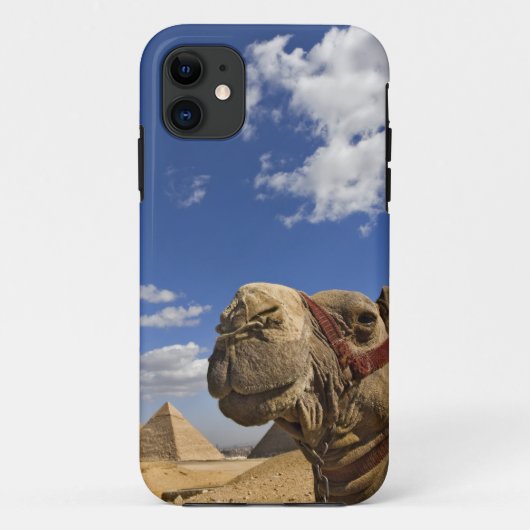エジプトのギザのピラミッド前のラクダ Case-Mate iPhoneケース (裏面)