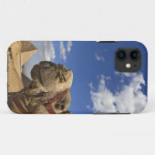 エジプトのギザのピラミッド前のラクダ Case-Mate iPhoneケース (裏面(横))