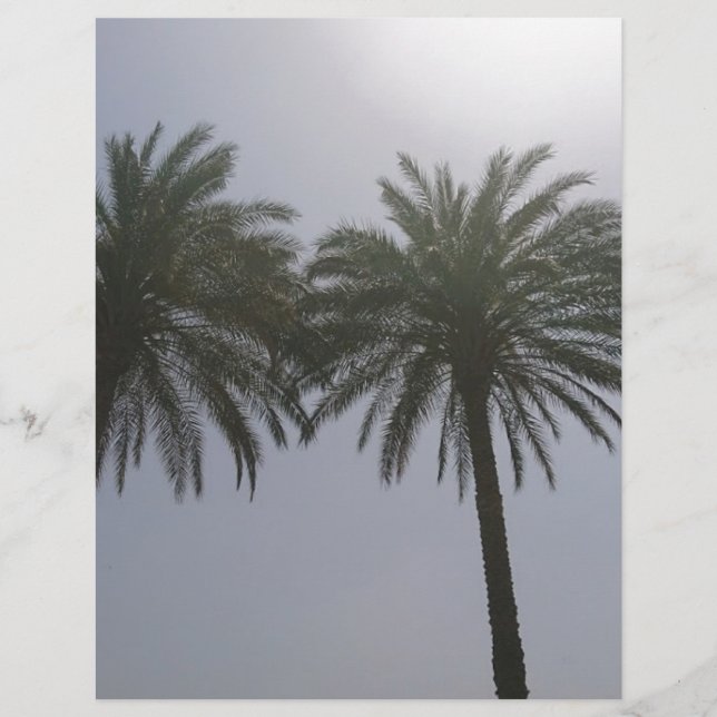 エジプトのサンツリーズ。 (正面)