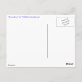 エジプトのスカラブカブトムシのコレクション ポストカード (裏面)