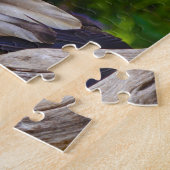 エジプトのハゲワシ – 猛禽類。 ジグソーパズル (側面)