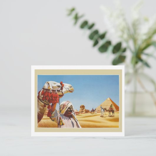 エジプトのバドアンはラクダをピラミッドの前に置いた ポストカード (スタンド正面)
