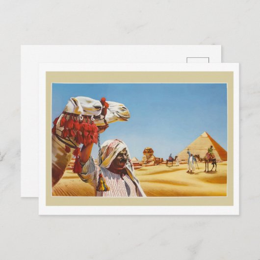 エジプトのバドアンはラクダをピラミッドの前に置いた ポストカード (正面/裏面)