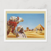 エジプトのバドアンはラクダをピラミッドの前に置いた ポストカード (正面)