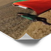 エジプトのパレスチナ ポスター (角)