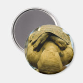 エジプトのミイラ磁石 マグネット (正面/裏面)