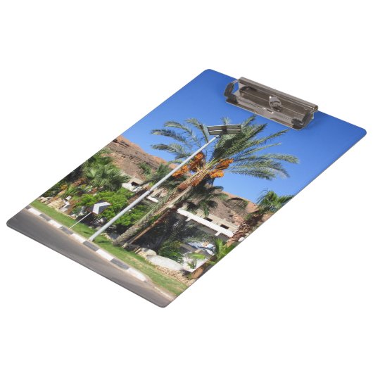 エジプトのヤシの木 クリップボード (アングル)