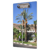 エジプトのヤシの木 クリップボード (左)