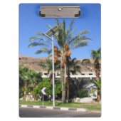 エジプトのヤシの木 クリップボード (正面)