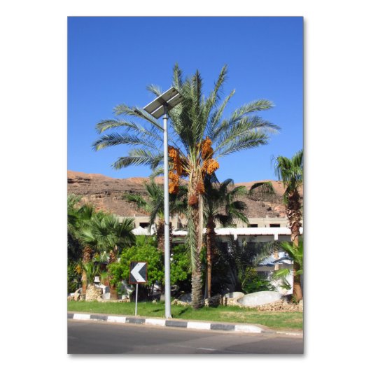 エジプトのヤシの木 テーブルナンバー (正面)