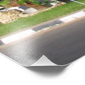 エジプトのヤシの木 フォトプリント            (角)