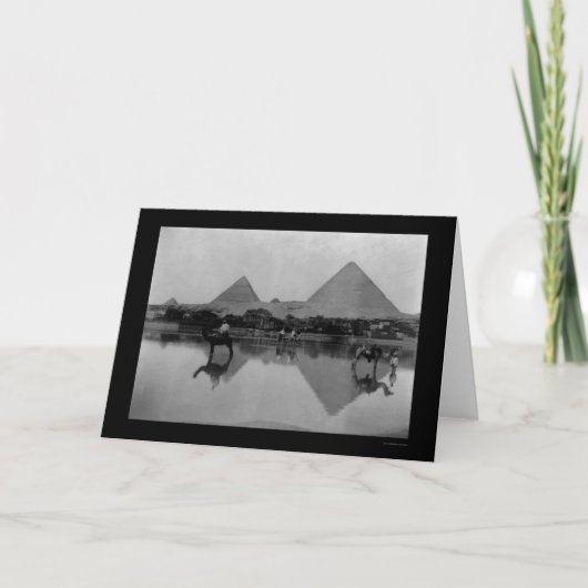 エジプトのラクダとピラミッド1899 カード (正面)