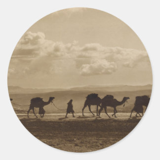 エジプトのラクダ輸送オリベットを通過， 1918 ラウンドシール