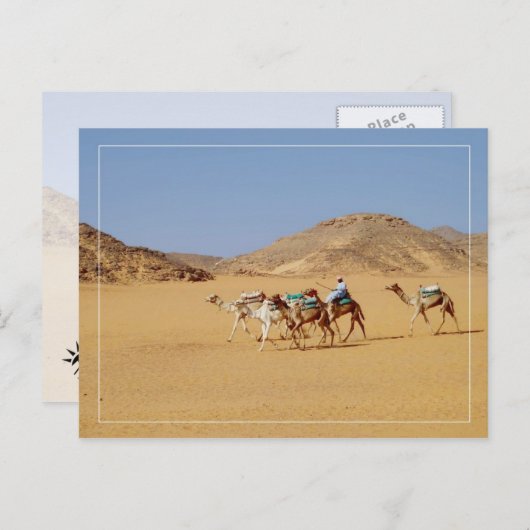 エジプトのワディ・エル・セブア寺院の近くのラクダ ポストカード (正面/裏面)