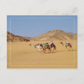 エジプトのワディ・エル・セブア寺院の近くのラクダ ポストカード (正面)