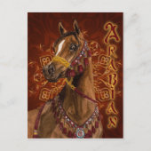 エジプトの夢のアラビア馬はがき ポストカード (正面)
